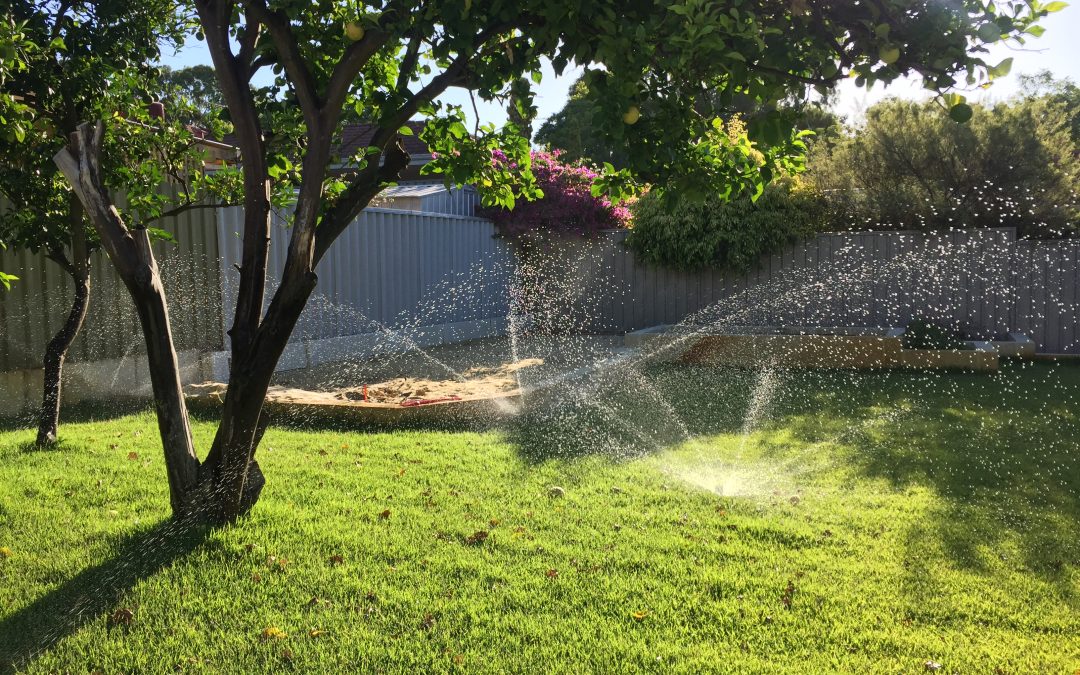 2020 Watering Days & Exemptions