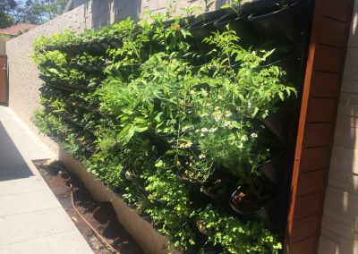 Residential Vertical Herb Garden
