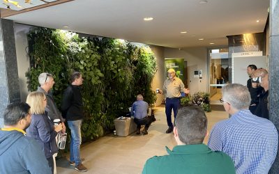 Industry Event: Vertical Living Walls With Irrigation Australia